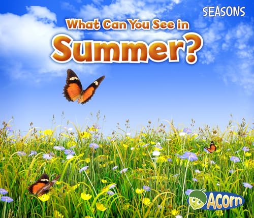 What Can You See In Summer?