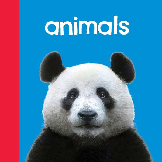 Animals
