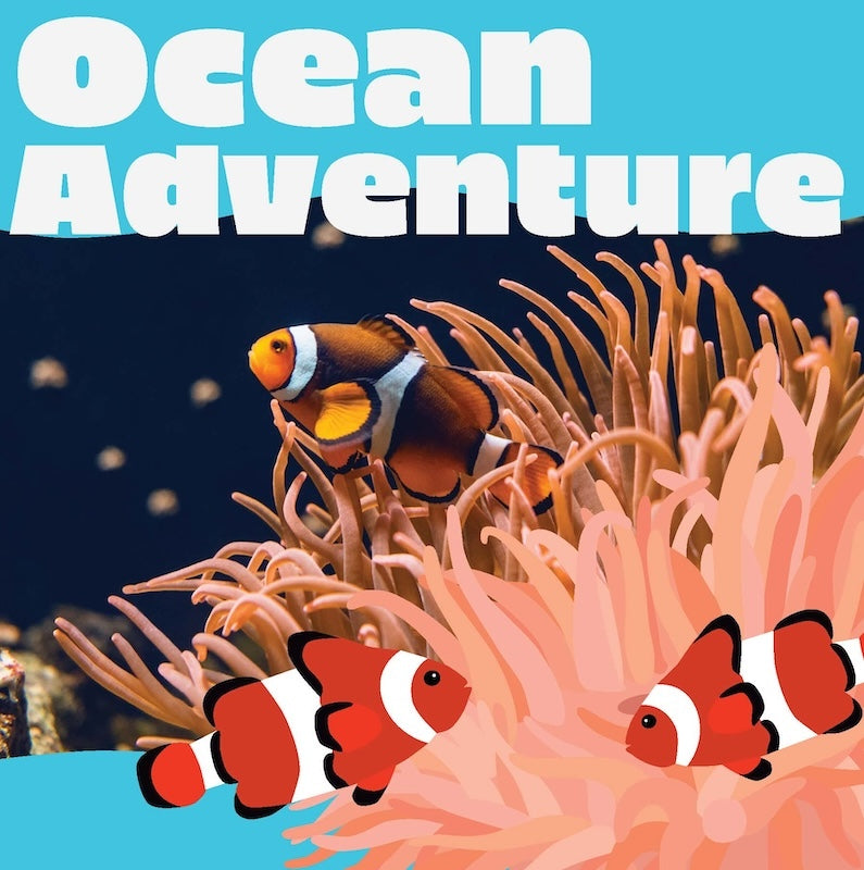 Ocean Adventures